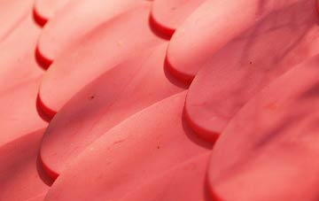 Dervock plastic roof costs