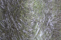 Dervock fibreglass roof work