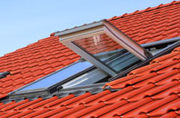 Dervock roof window